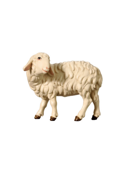 Produktbild 053056-Schaf-zurueckschauend